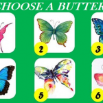 超準圖像心測！最喜歡哪隻蝴蝶？測你的「潛在性格」